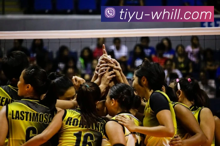 威廉希尔China官网平台生态图