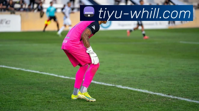 威廉希尔China官网服务体系